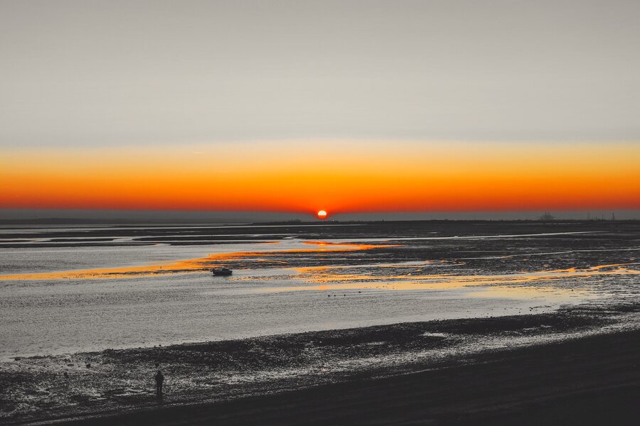 sunset ash